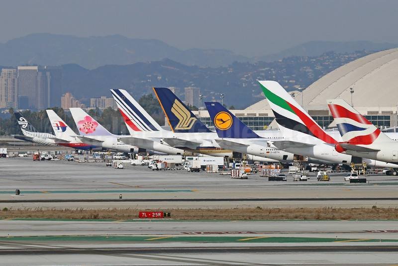 How Much Does the Tail Cost in Most Airplanes? A Complete Breakdown of Aircraft Tail Costs Airplane Tails